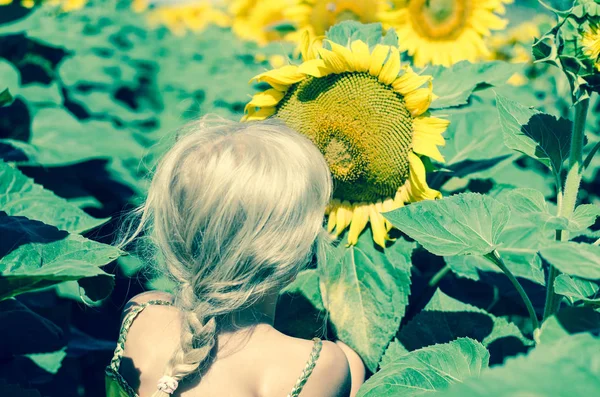 Rozkošná Blondýnka Drží Žluté Slunečnice — Stock fotografie