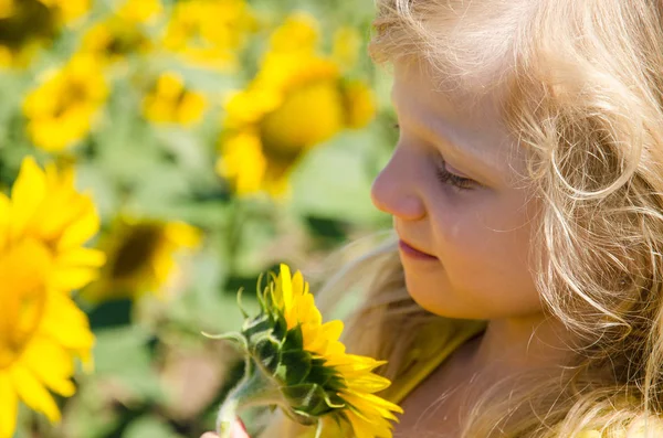 Bambino nel campo di girasole — Foto Stock