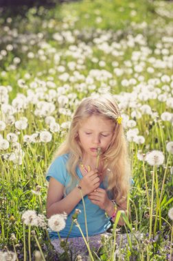kapalı gözler ve uzun sarı saçları beyaz karahindiba çiçekler üfleme ile güzel kız