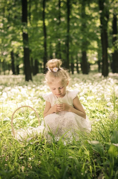 Мила дитина в лісі — стокове фото