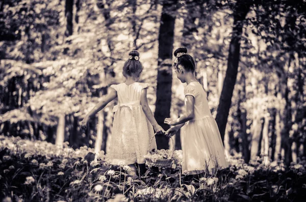 Söta flickor i skogen — Stockfoto