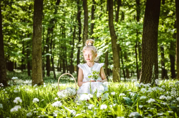 Szép kis hölgy az erdőben — Stock Fotó