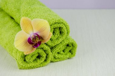 Spa konsept natürmort