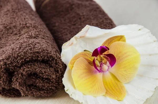 Concepto de spa naturaleza muerta — Foto de Stock