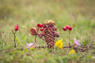 sonbahar çam koni şekil