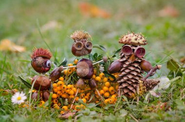 çim kestane rakamlar