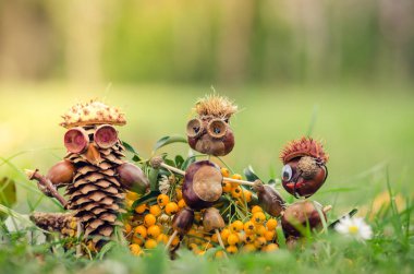Mısır ve kabak poz kestane sevimli sonbahar şekil yapılmış