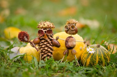 Cadılar Bayramı kestane rengi dekorasyon