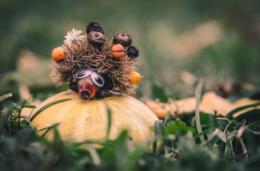 Turuncu kabak yeşil çim poz kestane yapılmış güzel sonbahar kirpi şekil