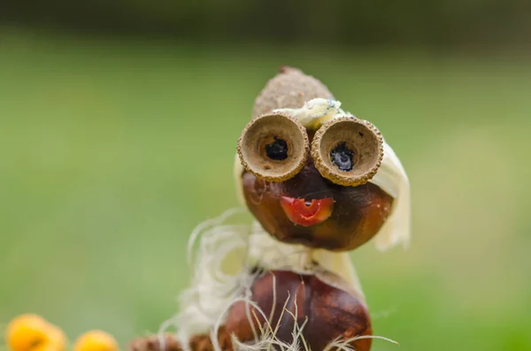 Kastanienfigur im Gras — Stockfoto