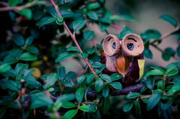 Chestnut owl figure — Stock Photo, Image