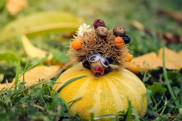 Hedgehog figure made of chestnut Stock Picture