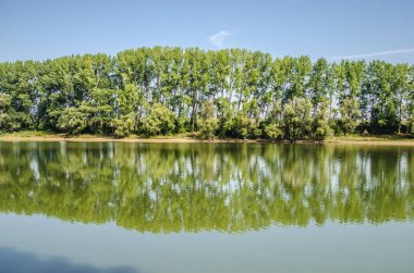 Bahar göl ağaçların yansıması