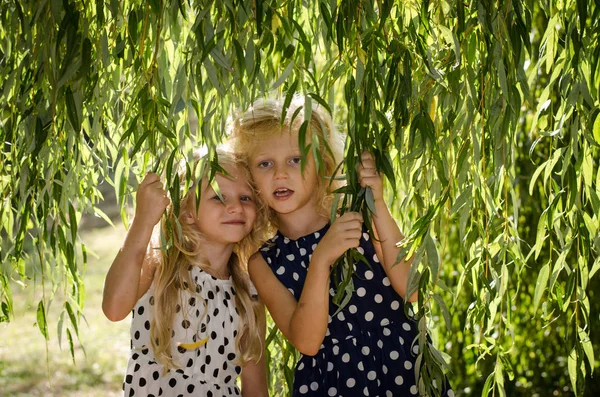 Piękne Blond Dziewczyny Pod Zielonym Drzewem — Zdjęcie stockowe