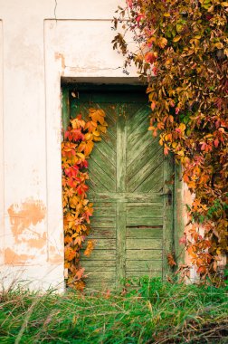 kırsal sonbahar atmosfer