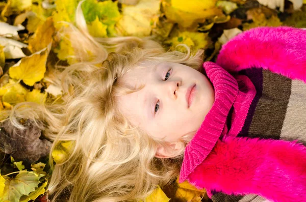 Criança encantadora em folhas de outono — Fotografia de Stock