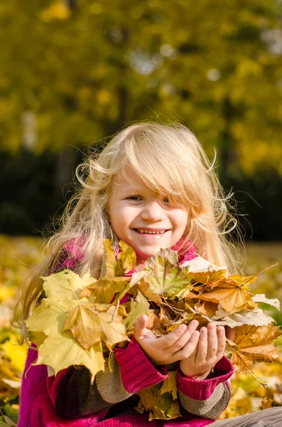 Renkli sonbahar bırakın mutlu gülümseyen çocuk — Stok fotoğraf