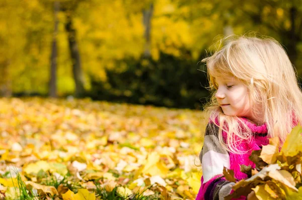 Красива Блондинка Довгошерста Дівчина Осінньому Парку Тримає Барвисте Осіннє Листя — стокове фото