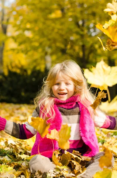 güzel uzun saçlı sarışın sonbahar park renkli sonbahar yaprakları atma