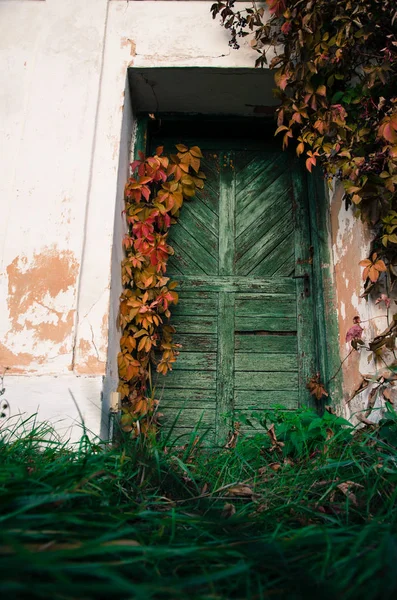 Green door and autumn leaves — Stock Photo, Image