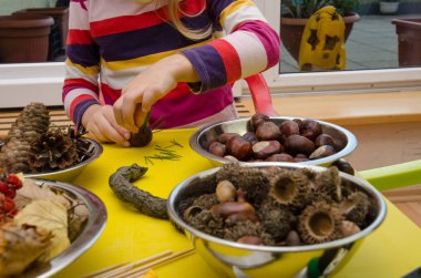 sonbahar işçilik etkinliği