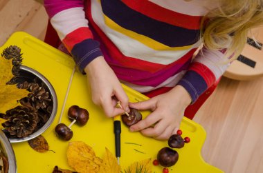 Kestane, kozalak ve meşe palamudundan sonbahar süsü yapan küçük çocuk.