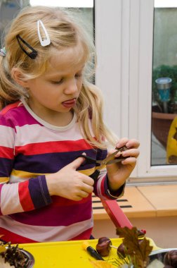 Kestane, kozalak ve meşe palamudundan sonbahar süsü yapan küçük çocuk.