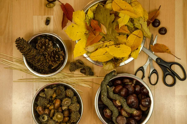 Hojas de otoño, castaño, cono de pino y tijeras —  Fotos de Stock