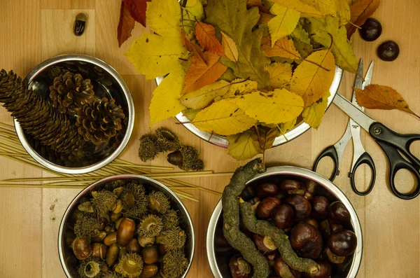 Hojas de otoño, castaño, cono de pino y tijeras —  Fotos de Stock