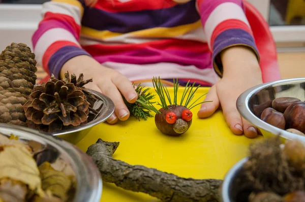 Criança Pequena Fazendo Decoração Outono Castanha Pinhas Bolotas — Fotografia de Stock