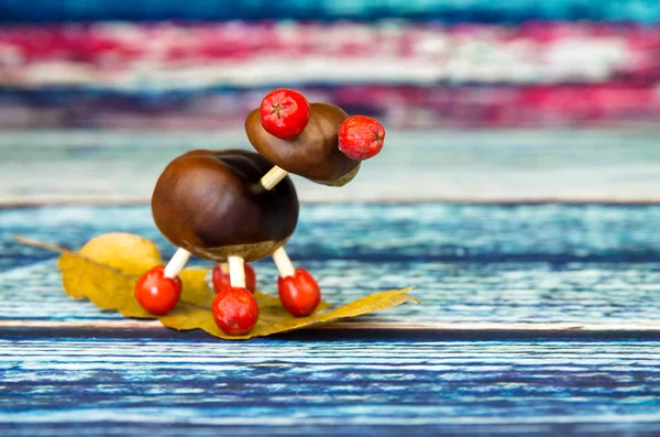 Autumn chestnut craft ideas — Stock Photo, Image