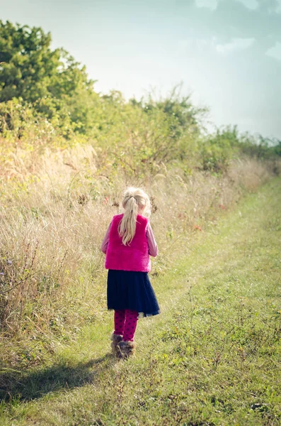 Niño Pequeño Solo Caminando Campo Rural Otoño — Foto de Stock