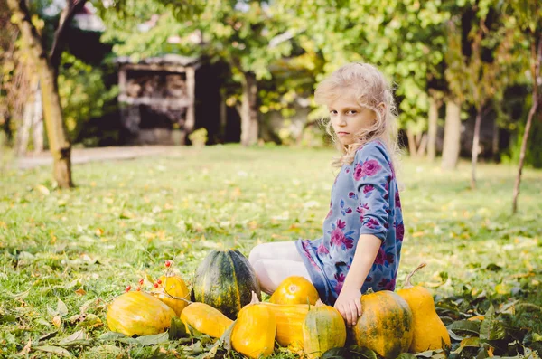 Infância no outono — Fotografia de Stock