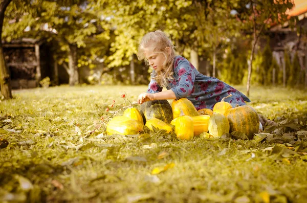 çocuk ve kabaklar sonbahar Bahçe