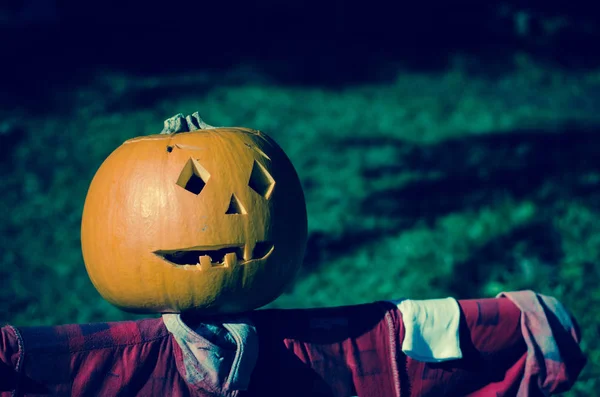 Skrämmande Halloween Pumpa Utomhus Höstens Tid — Stockfoto