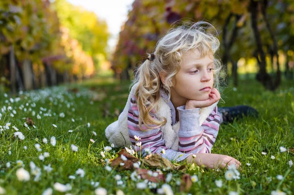 Adorable child in daisy flowers and grass in autumn time — Stock Photo, Image