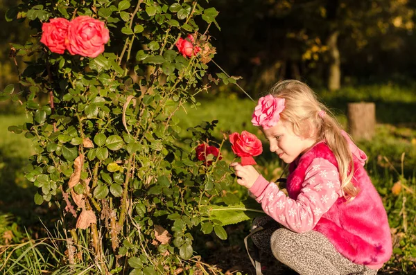 Niña encantadora oliendo flor de rosa —  Fotos de Stock
