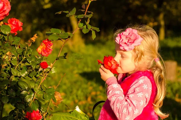 Маленька мила дівчинка пахне трояндовою квіткою — стокове фото