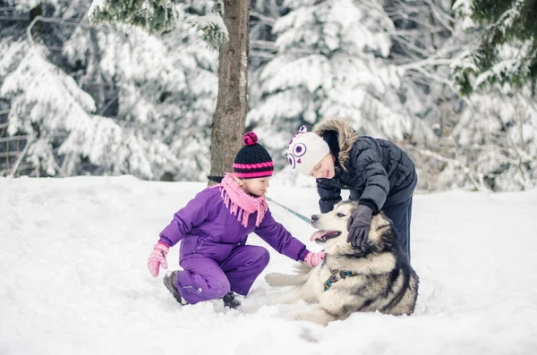 Childred and dog — Stock Photo, Image