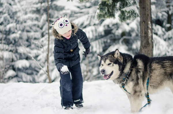 Urocze dziecko z big dog w zimowym lesie — Zdjęcie stockowe