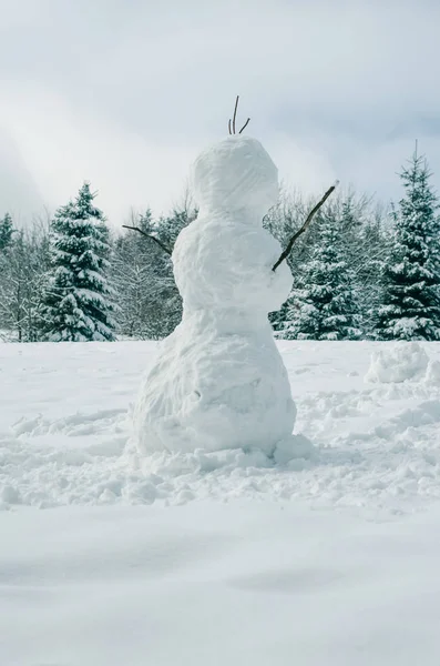 Снеговик зимой — стоковое фото