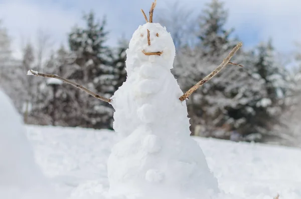 每年冬季雪人 — 图库照片