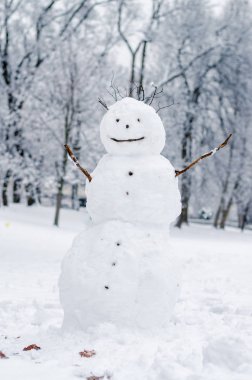 Harikalar Diyarında gündüz kış sezonu kış Park gülümseyen Kardanadam