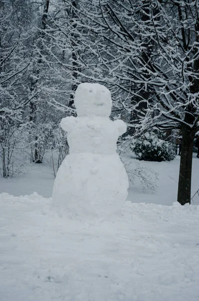 冬日森林中的快乐雪人在冰冻的魔法气氛中 — 图库照片