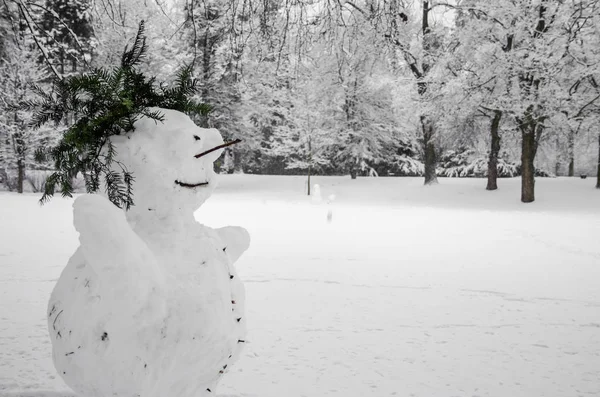 冬日公园里的微笑雪人白天的魔法气氛 — 图库照片