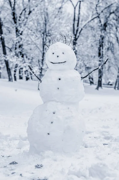 冬日仙境冬季公园的微笑雪人 — 图库照片