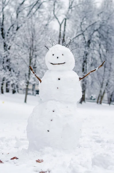 冬日仙境冬季公园的微笑雪人 — 图库照片
