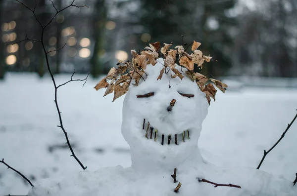 Sorriso Creativo Divertente Pupazzo Neve Ritratto Nel Parco Invernale Giorno — Foto Stock