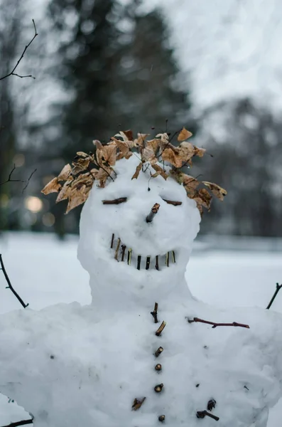 冬日森林冰冻气氛中的快乐雪人肖像微笑 — 图库照片