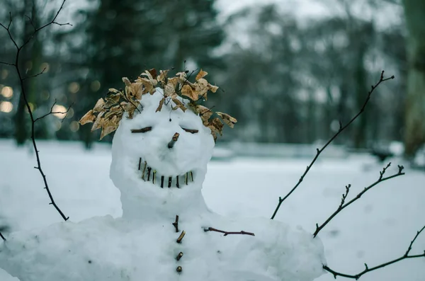 재미 있는 크리에이 티브 눈사람 초상화 — 스톡 사진